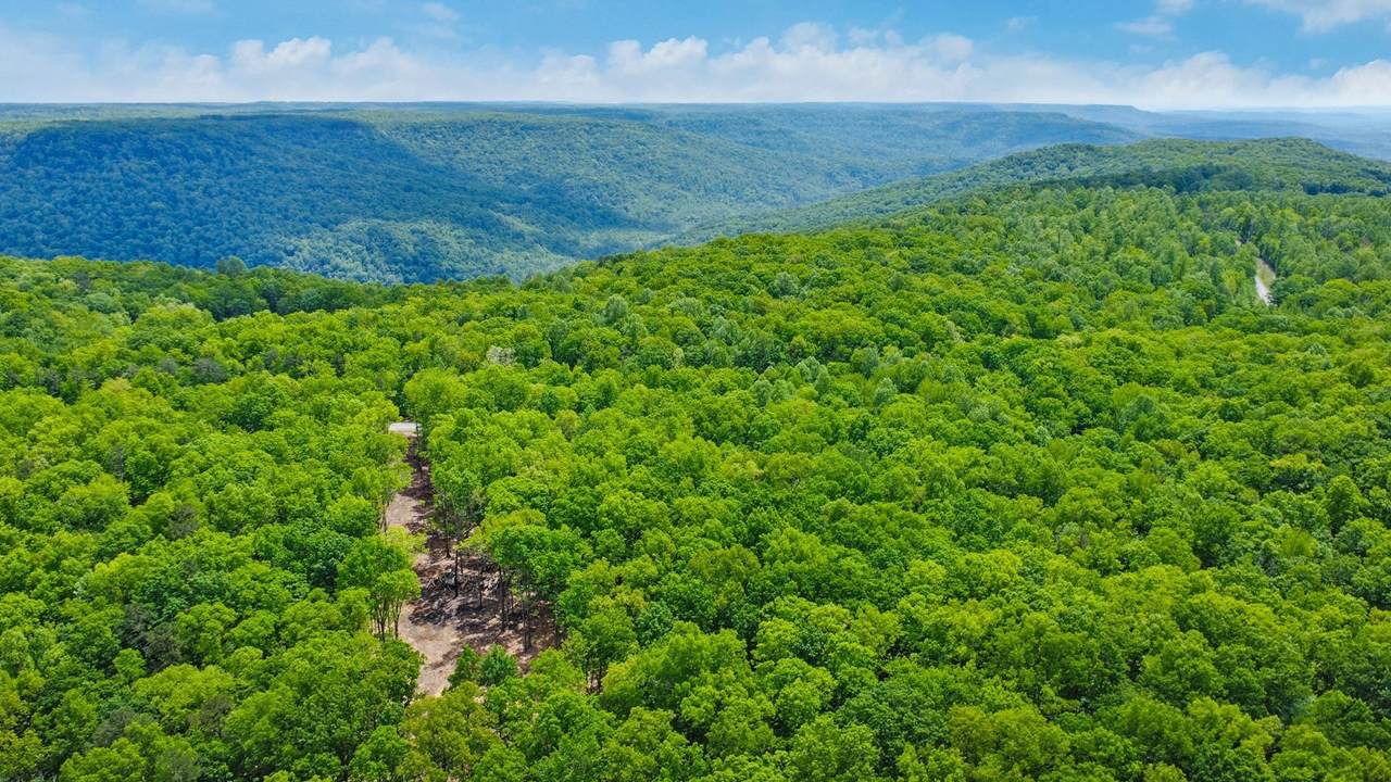 540 Cumberland Cove Rd - Photo 1
