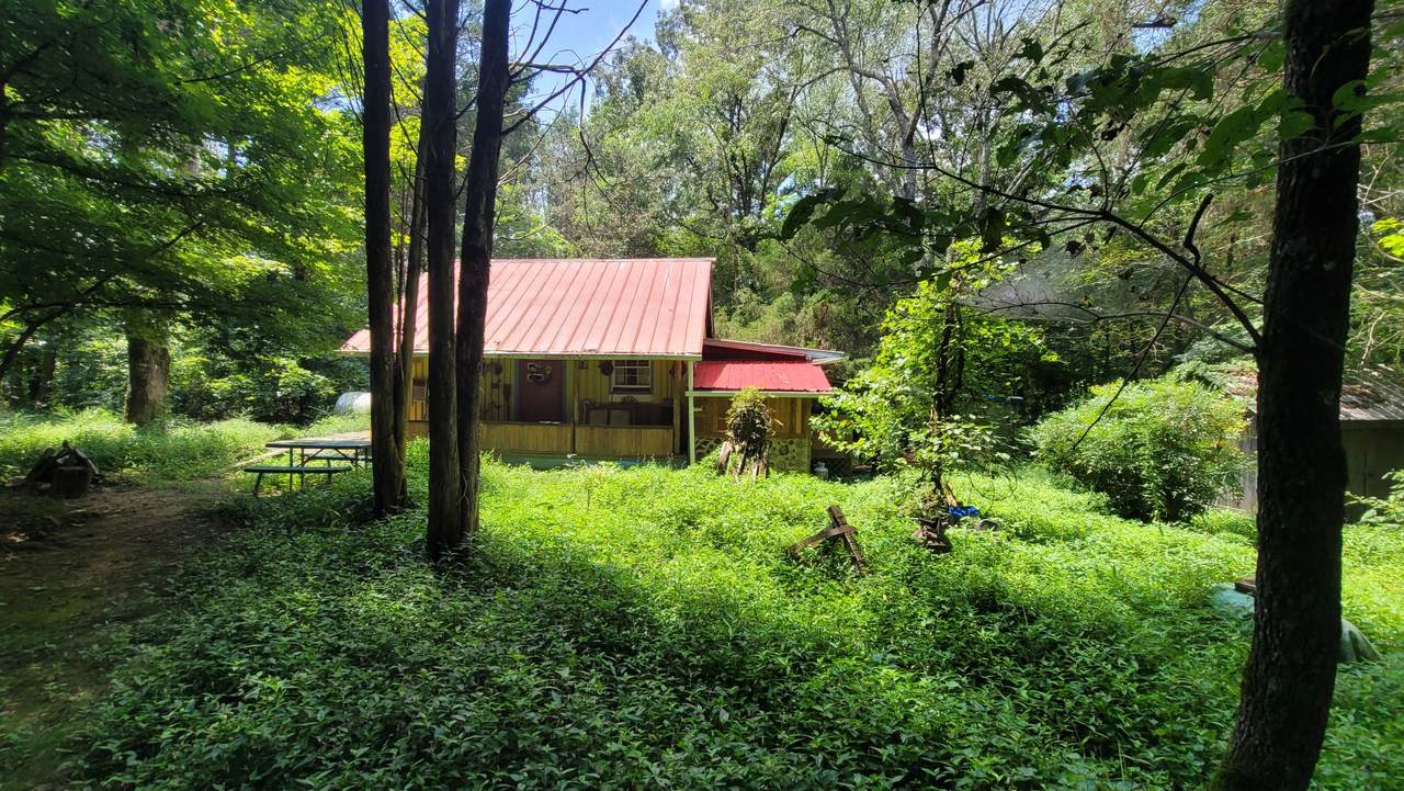 7992 Primm Springs Rd - Photo 1