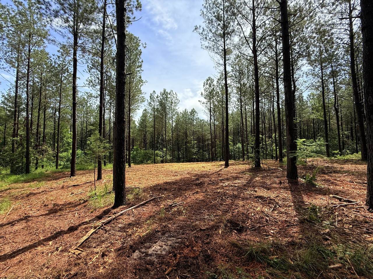 0 Spokelay Rd - Photo 1