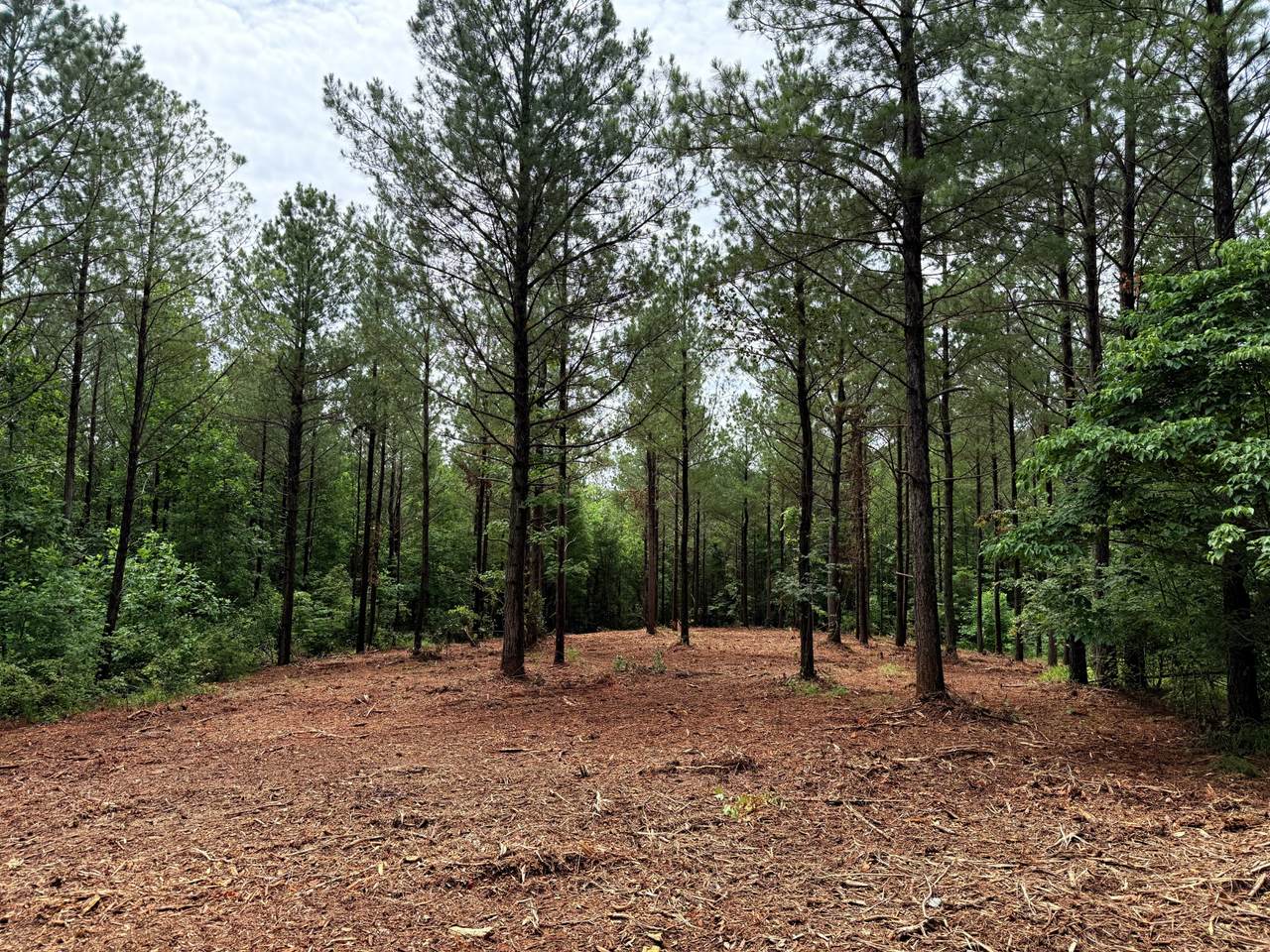 0 Spokelay Rd - Photo 1