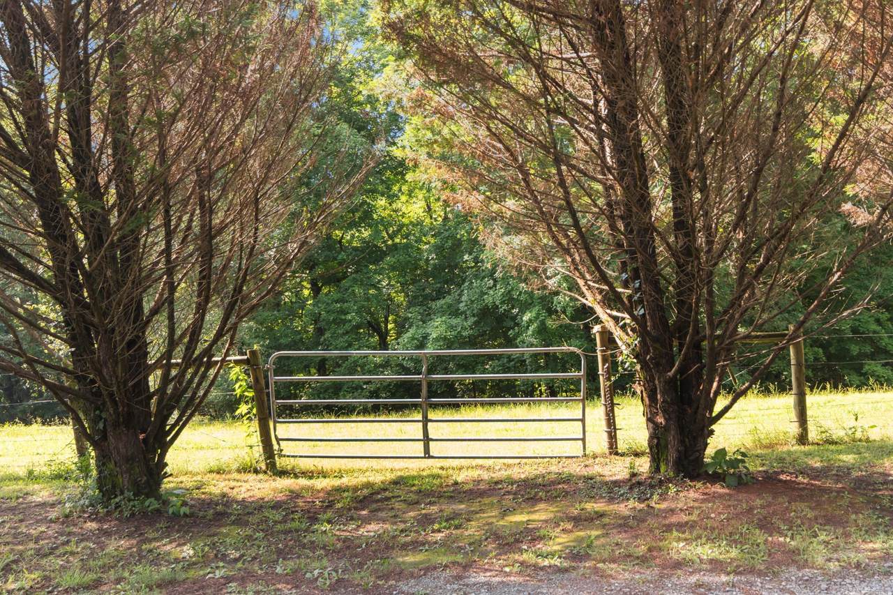 https://bt-photos.global.ssl.fastly.net/nashville/1280_boomver_1_RTC2946675-1.jpg