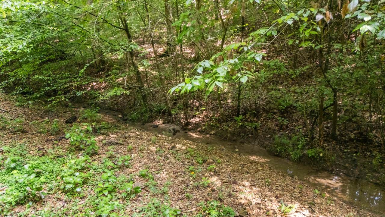 https://bt-photos.global.ssl.fastly.net/nashville/1280_boomver_1_RTC2946675-1.jpg
