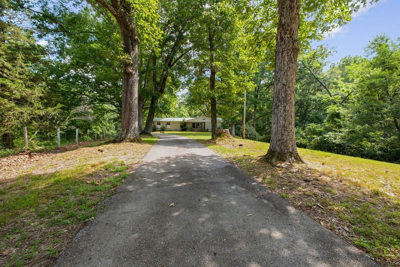 https://bt-photos.global.ssl.fastly.net/nashville/1280_boomver_1_RTC2950821-1.jpg