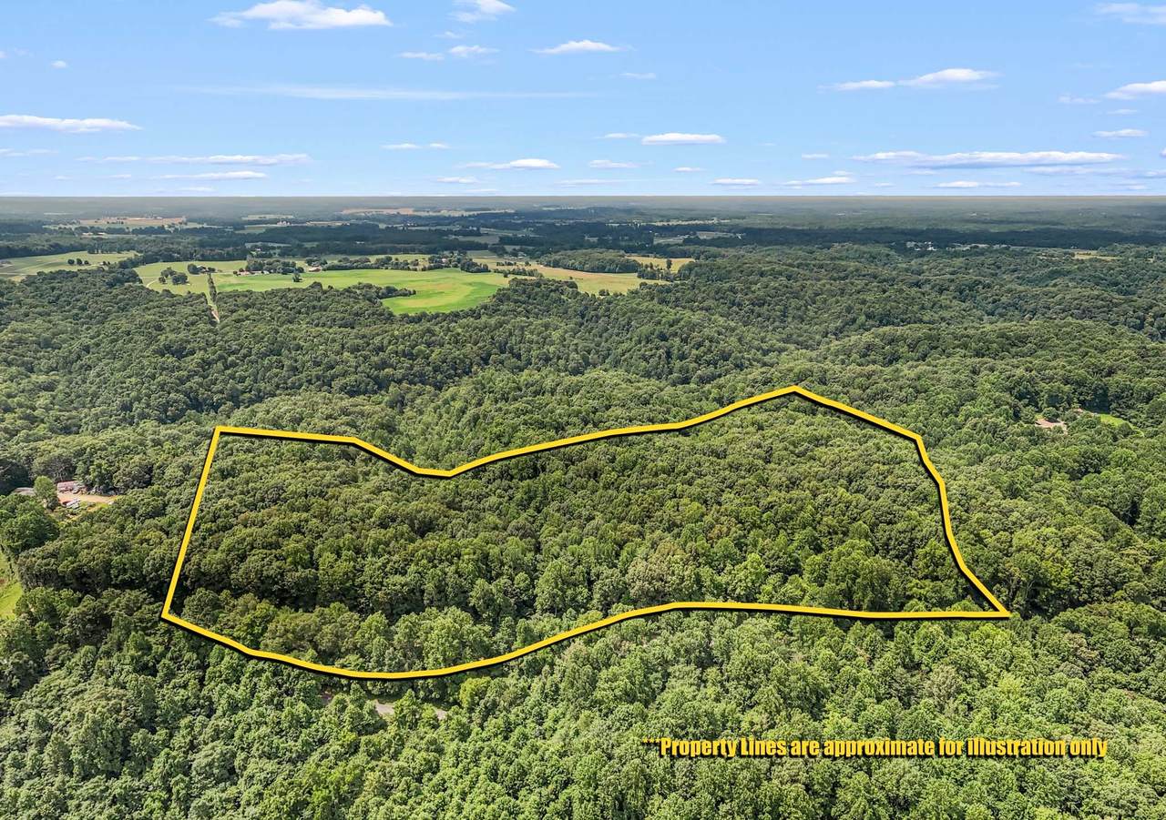 3950 Parchcorn Hollow Rd - Photo 1