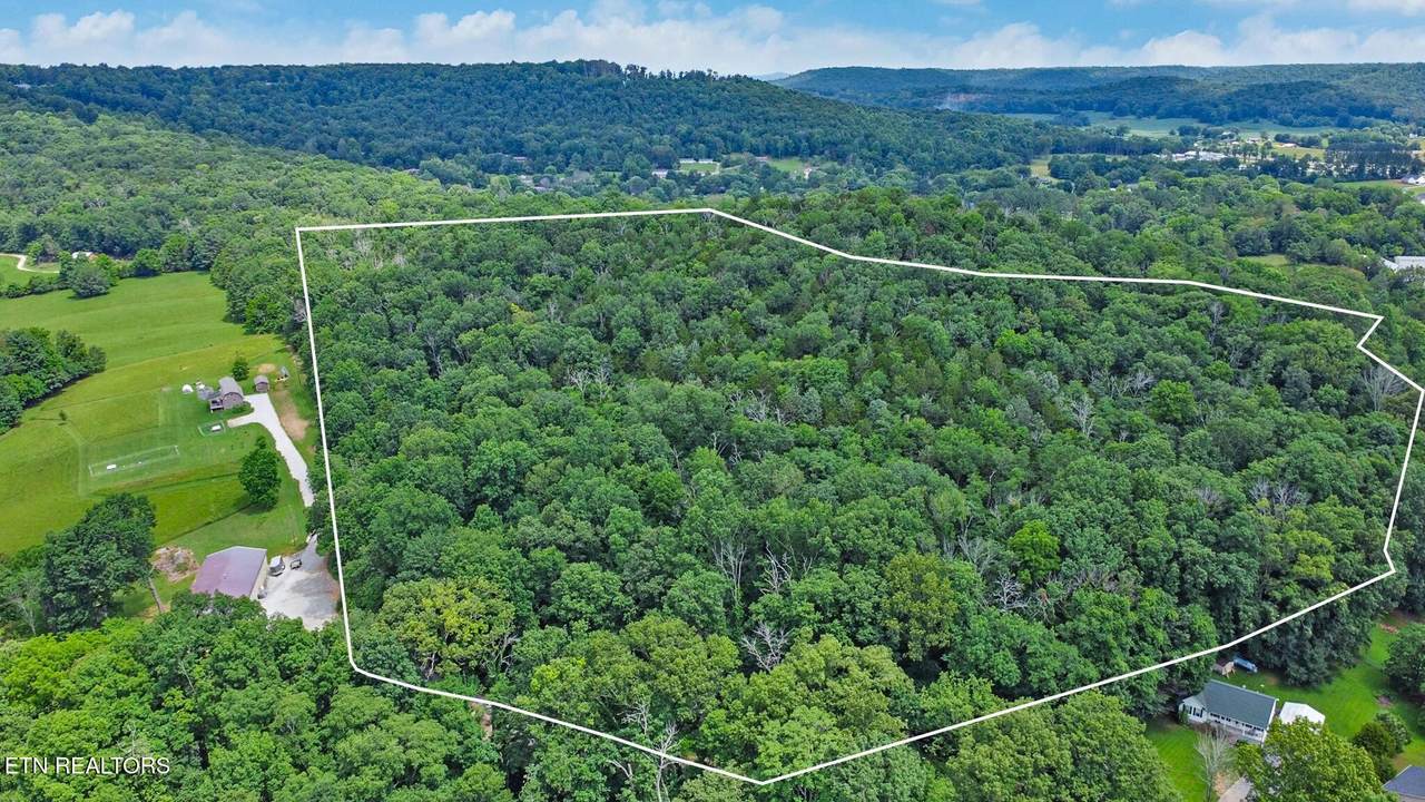 1644 Walker Cove Rd - Photo 1