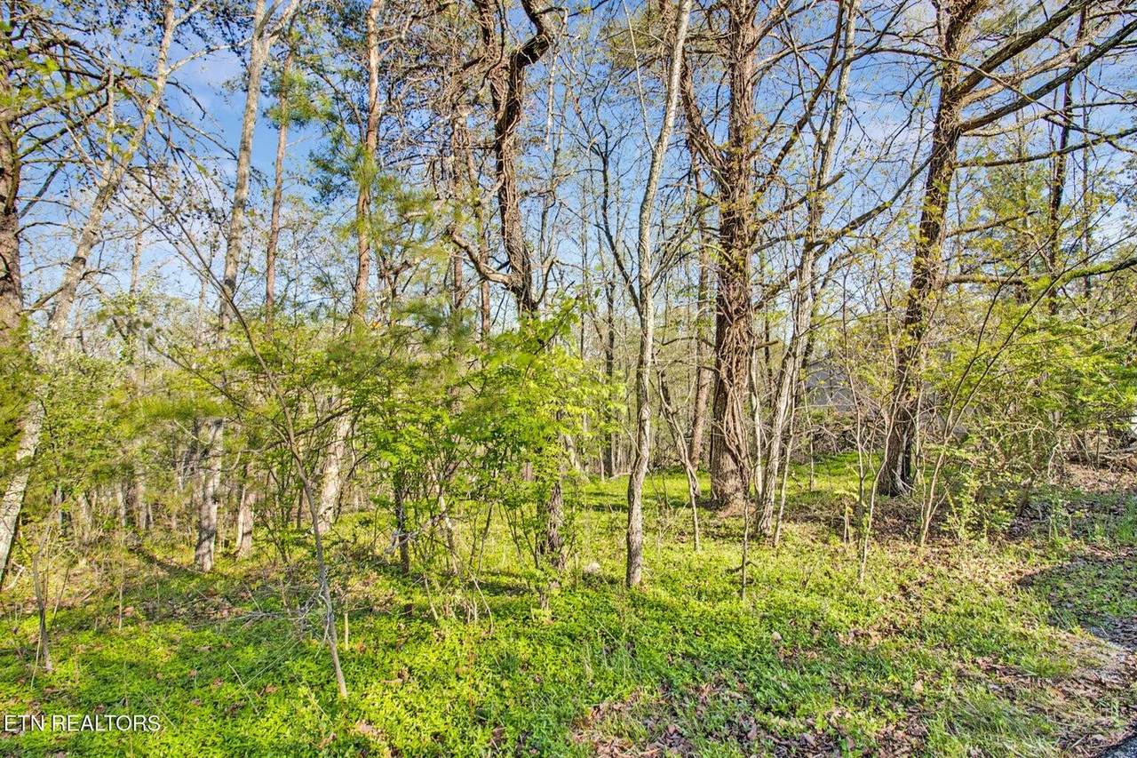 https://bt-photos.global.ssl.fastly.net/nashville/1280_boomver_1_RTC2955130-1.jpg