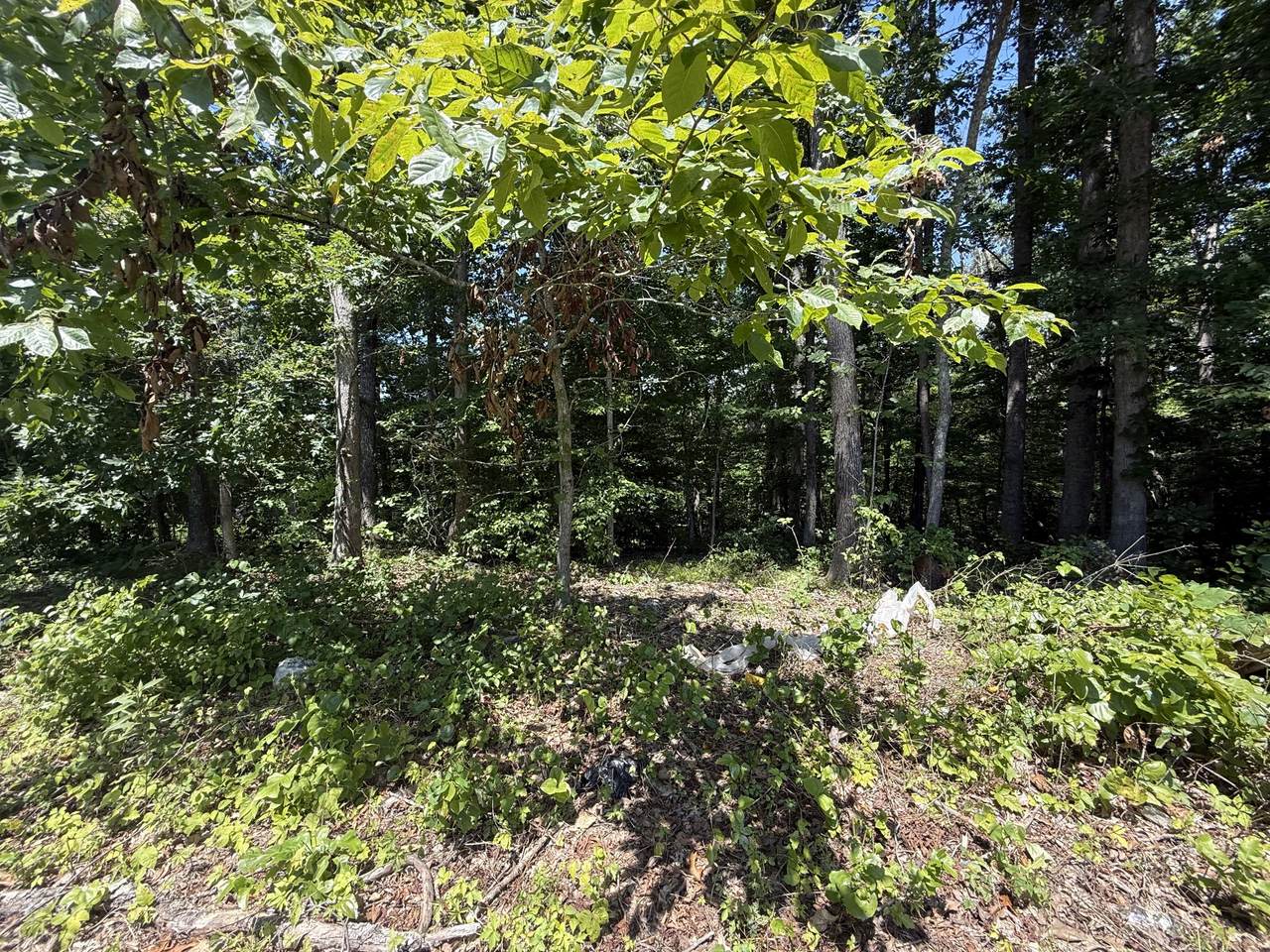 0 Trailwood Ct - Photo 1