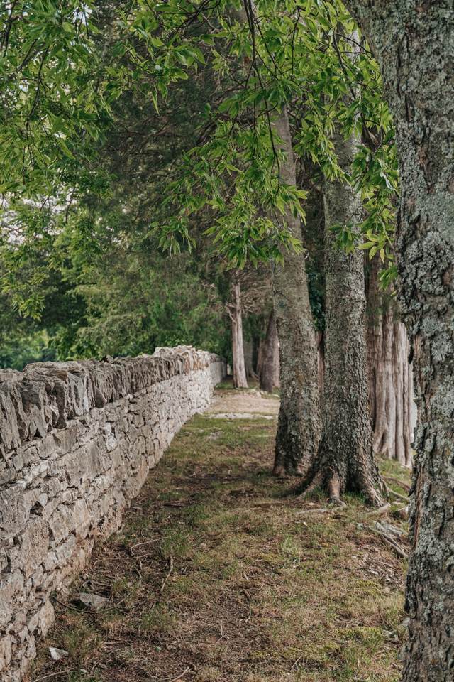 https://bt-photos.global.ssl.fastly.net/nashville/1280_boomver_1_RTC2963565-1.jpg