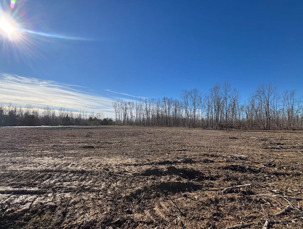 0 Brinkley Rd - Photo 1