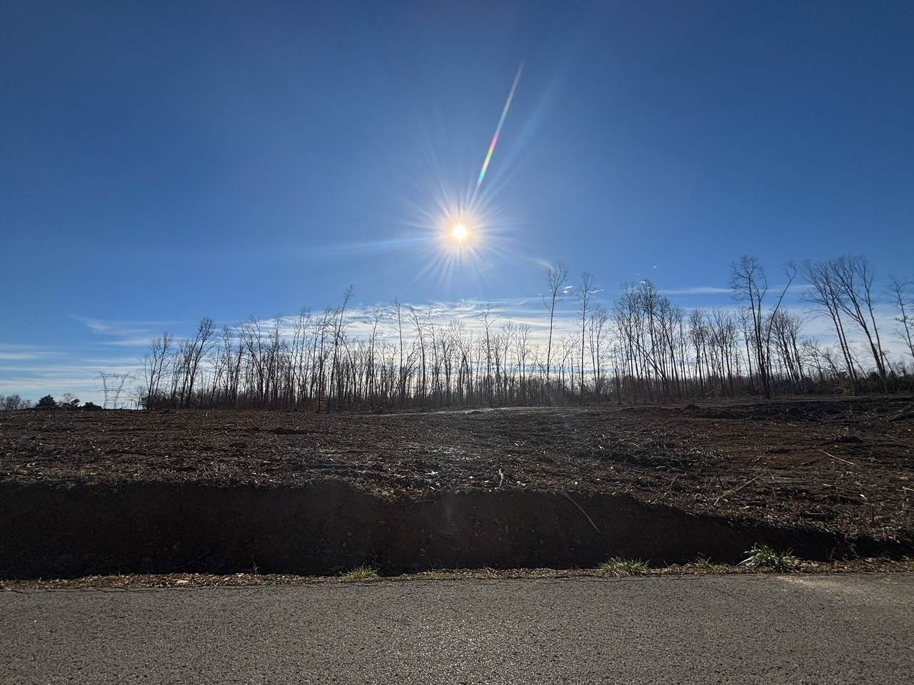 0 Brinkley Rd - Photo 1