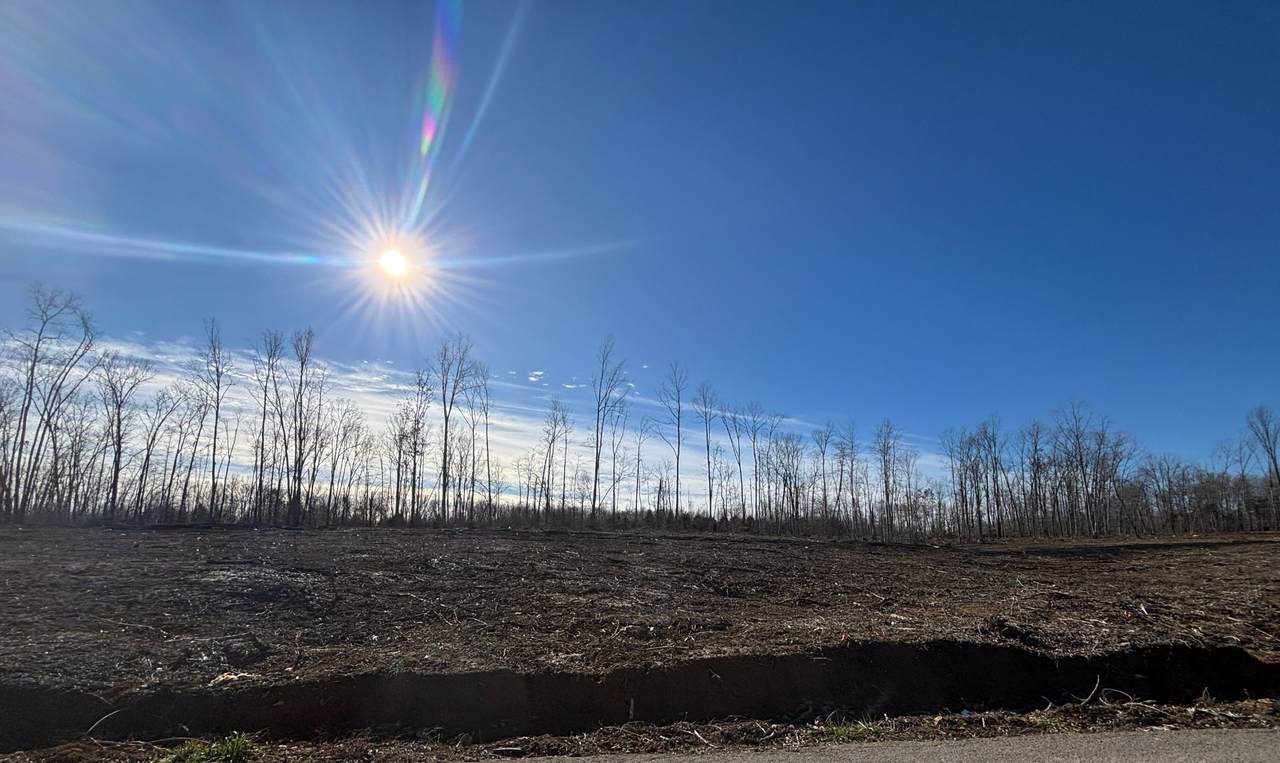 0 Brinkley Rd - Photo 1