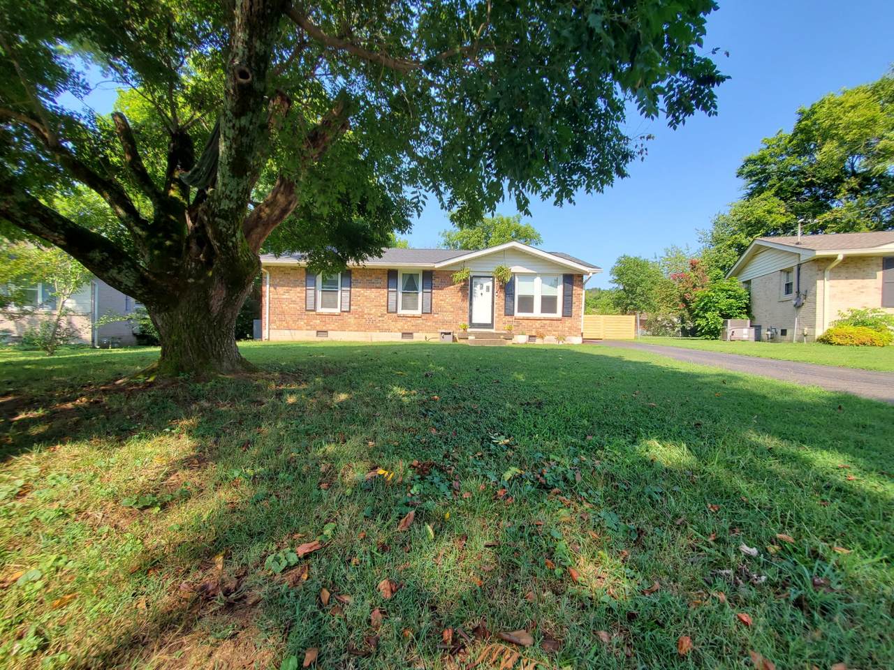 104 Carden St - Photo 1