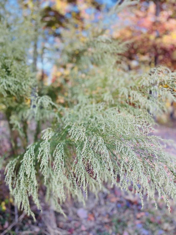 0 Hidden Highlands Ct - Photo 1