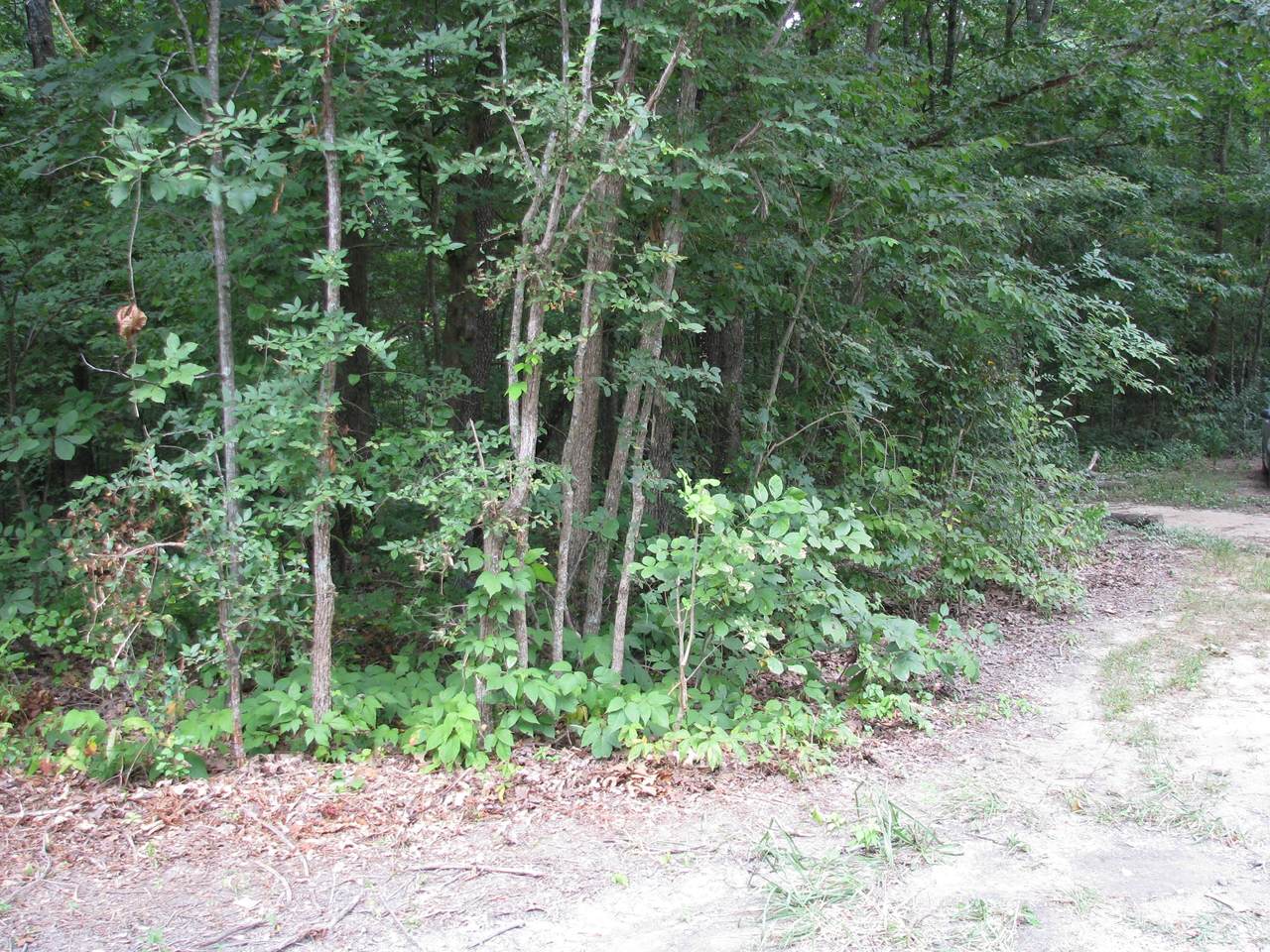 128 Washington Cir - Photo 1
