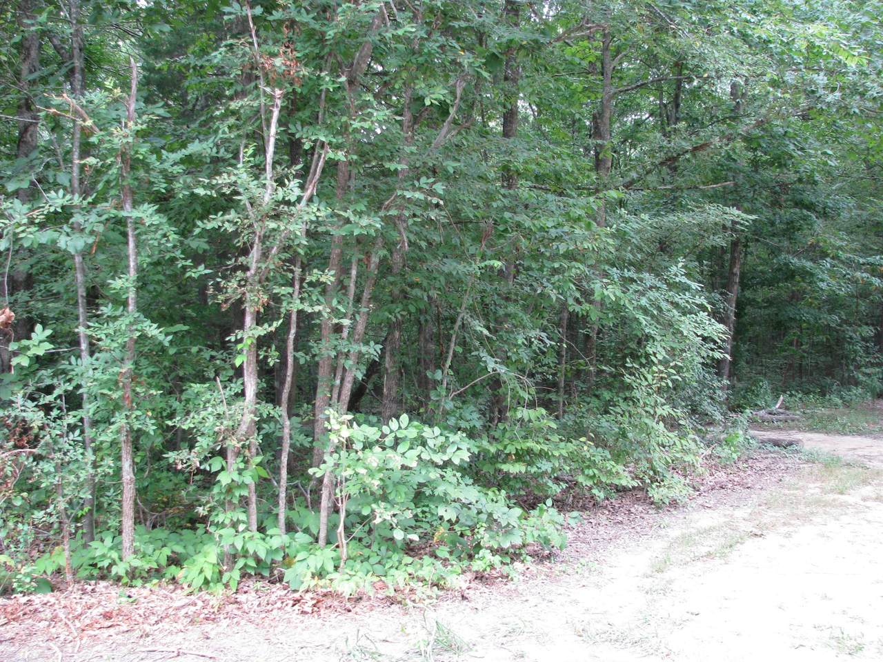 https://bt-photos.global.ssl.fastly.net/nashville/1280_boomver_1_RTC2968188-1.jpg