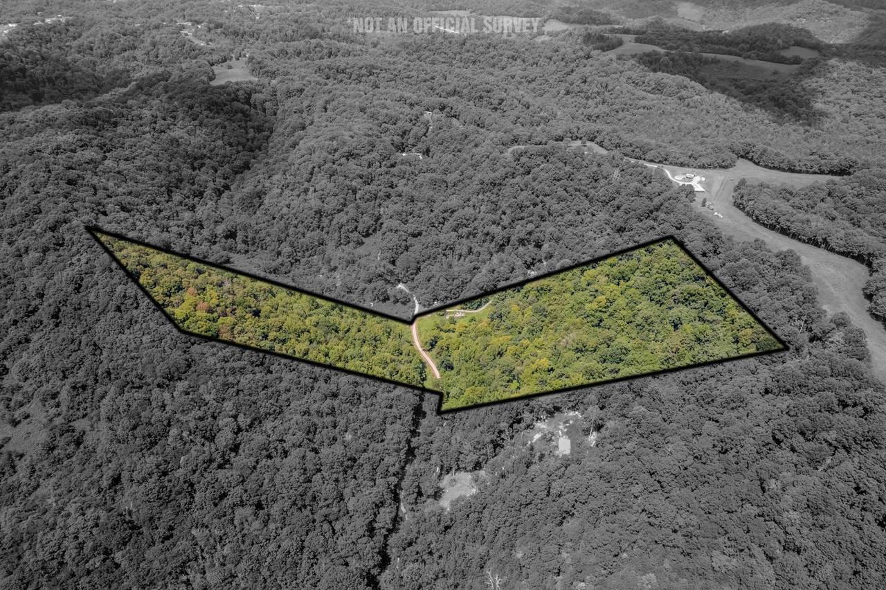 0 Watts Hollow Rd - Photo 1