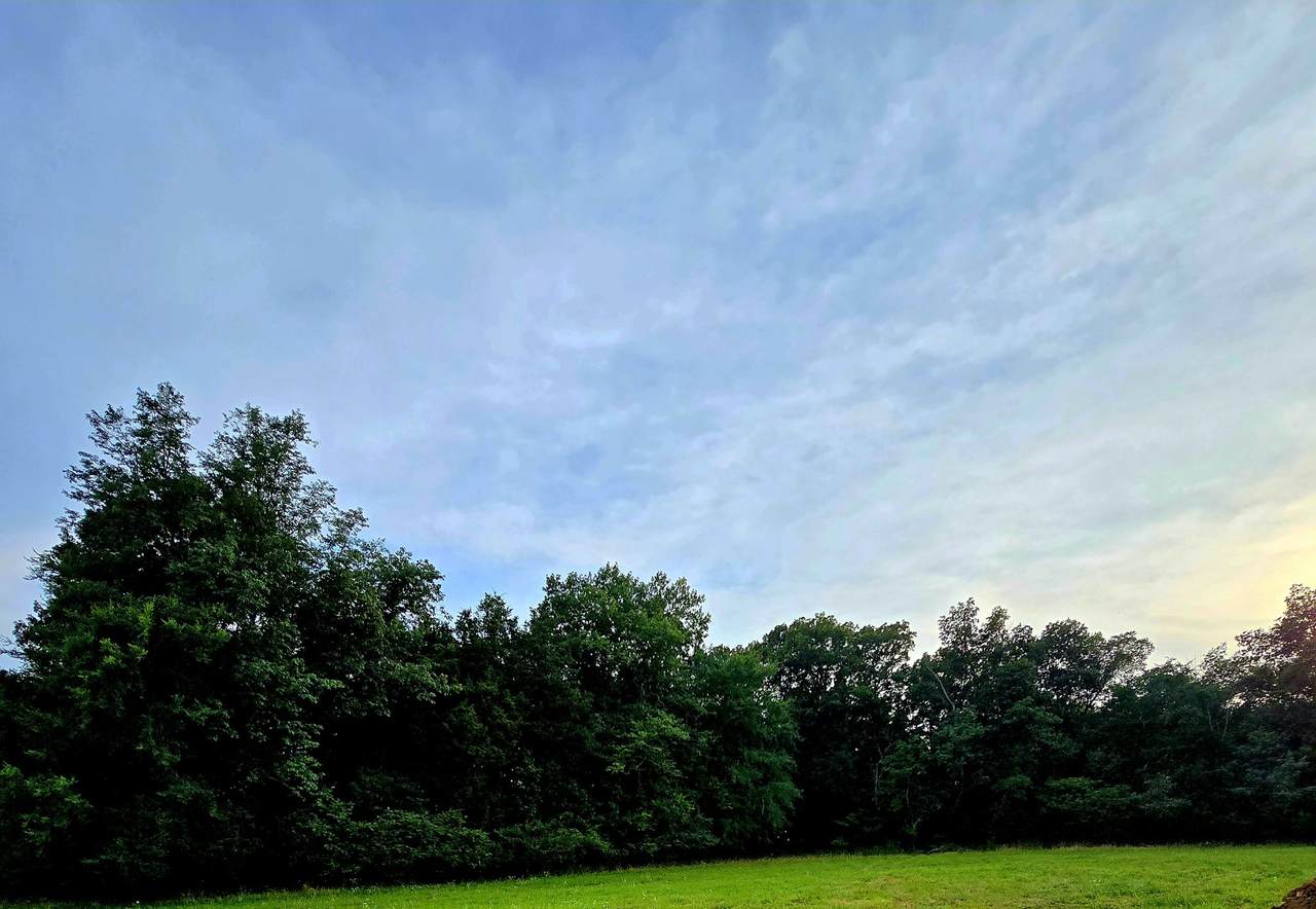 0 Nashville Hwy - Photo 1