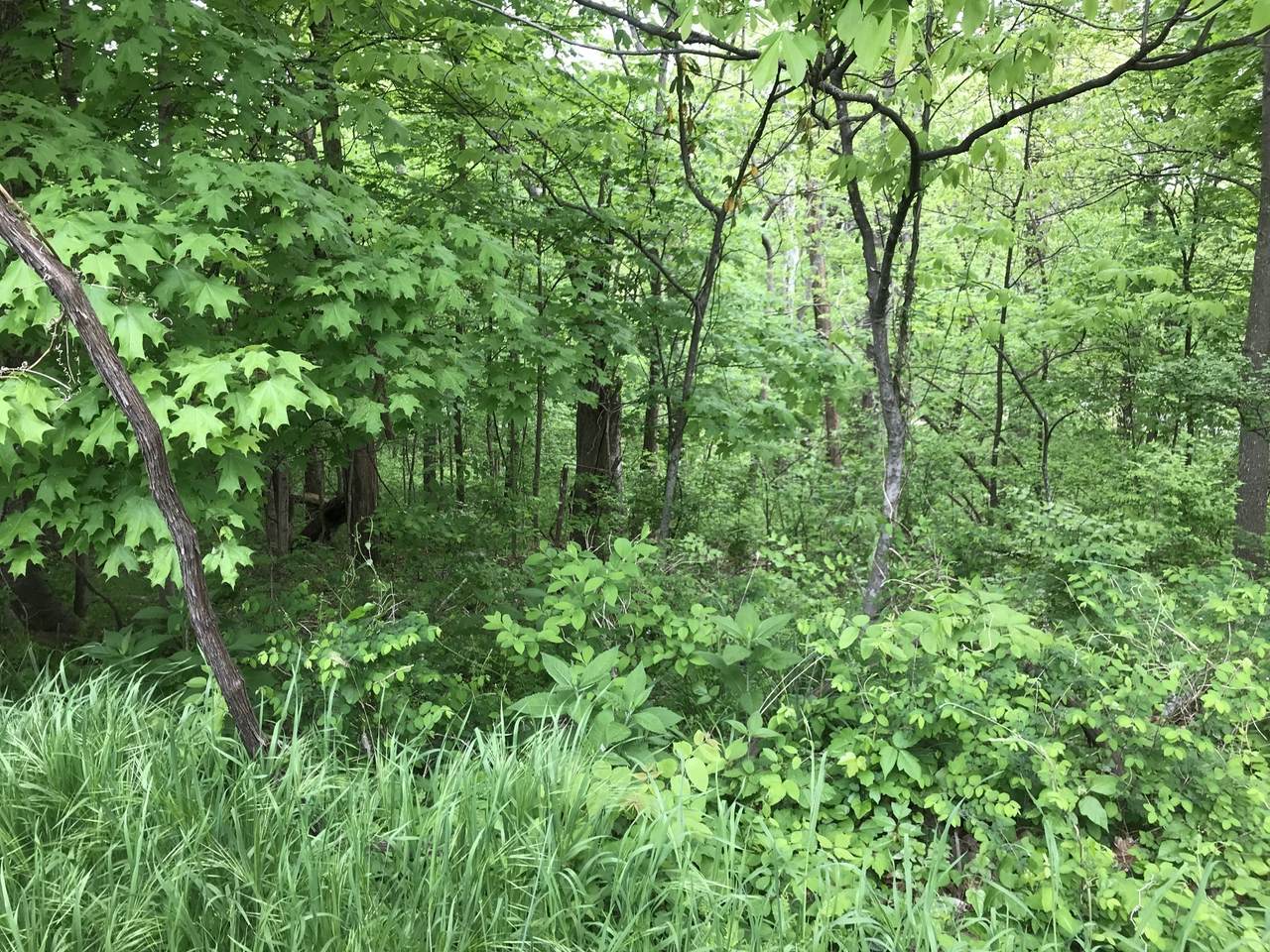 1915 Appomattox Dr - Photo 1