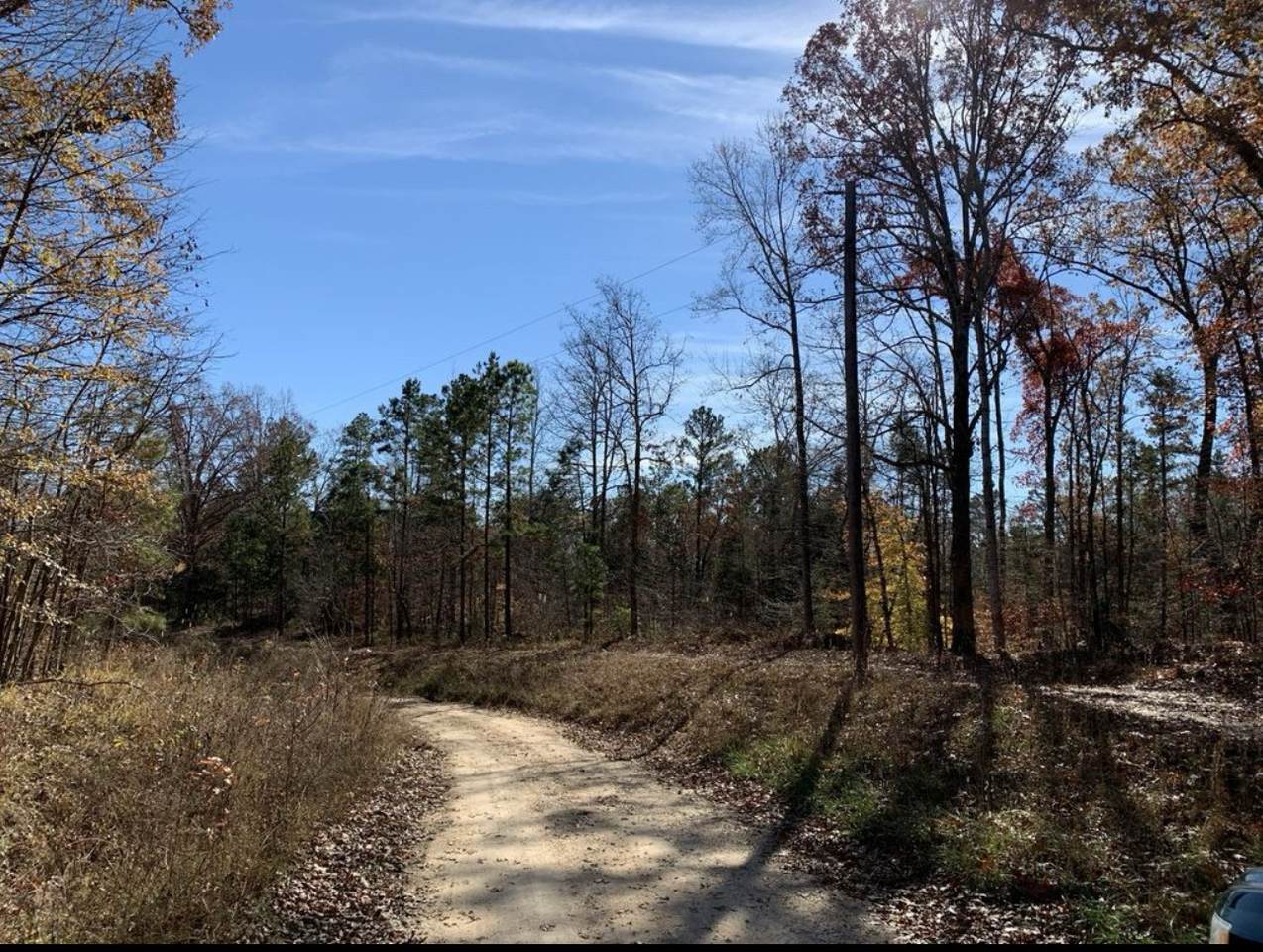 0 Kelly Ln - Photo 1