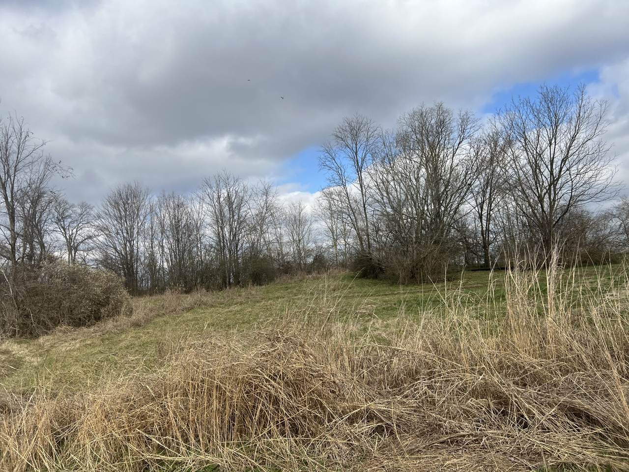 917 1st Ave - Photo 1