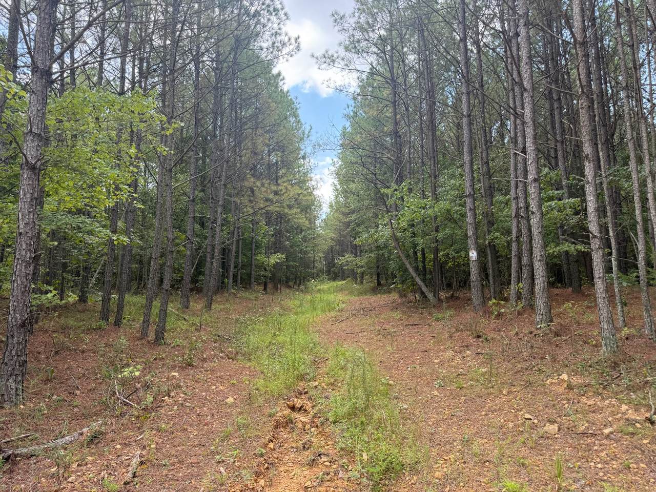 468 Seiber Ridge Rd - Photo 1