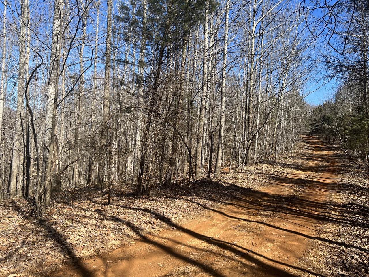 0 Kirby Hill Rd - Photo 1