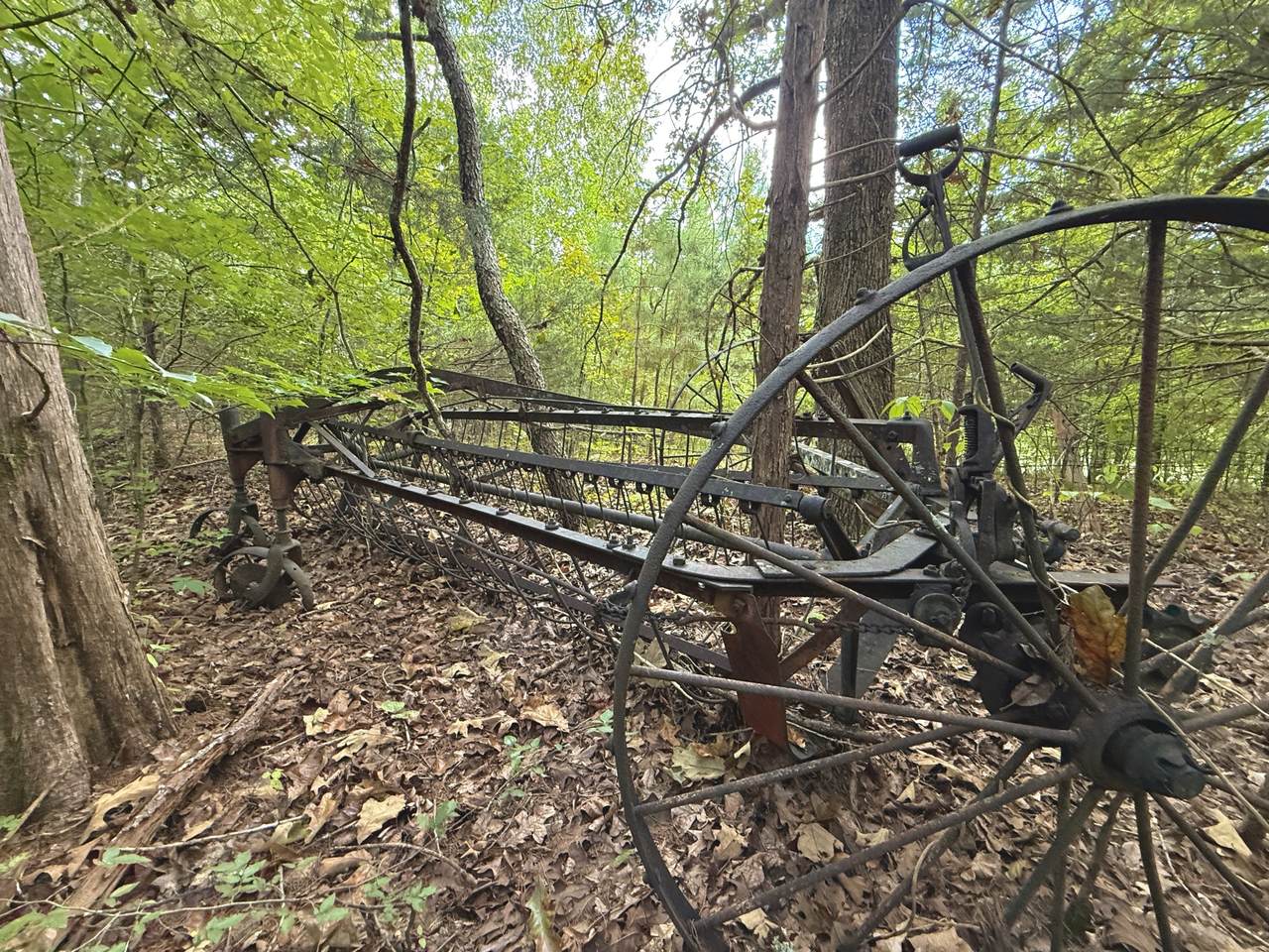https://bt-photos.global.ssl.fastly.net/nashville/1280_boomver_1_RTC2971646-1.jpg