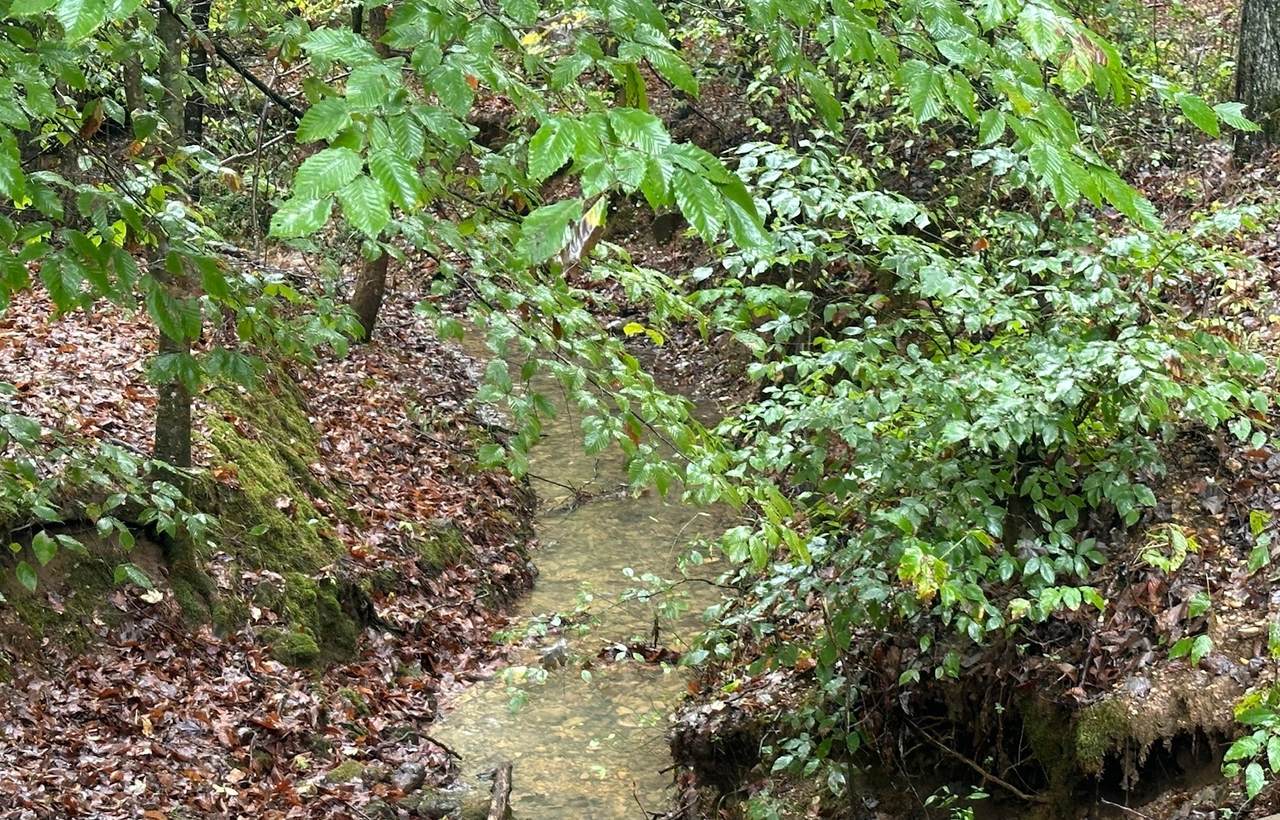 https://bt-photos.global.ssl.fastly.net/nashville/1280_boomver_1_RTC2971910-1.jpg