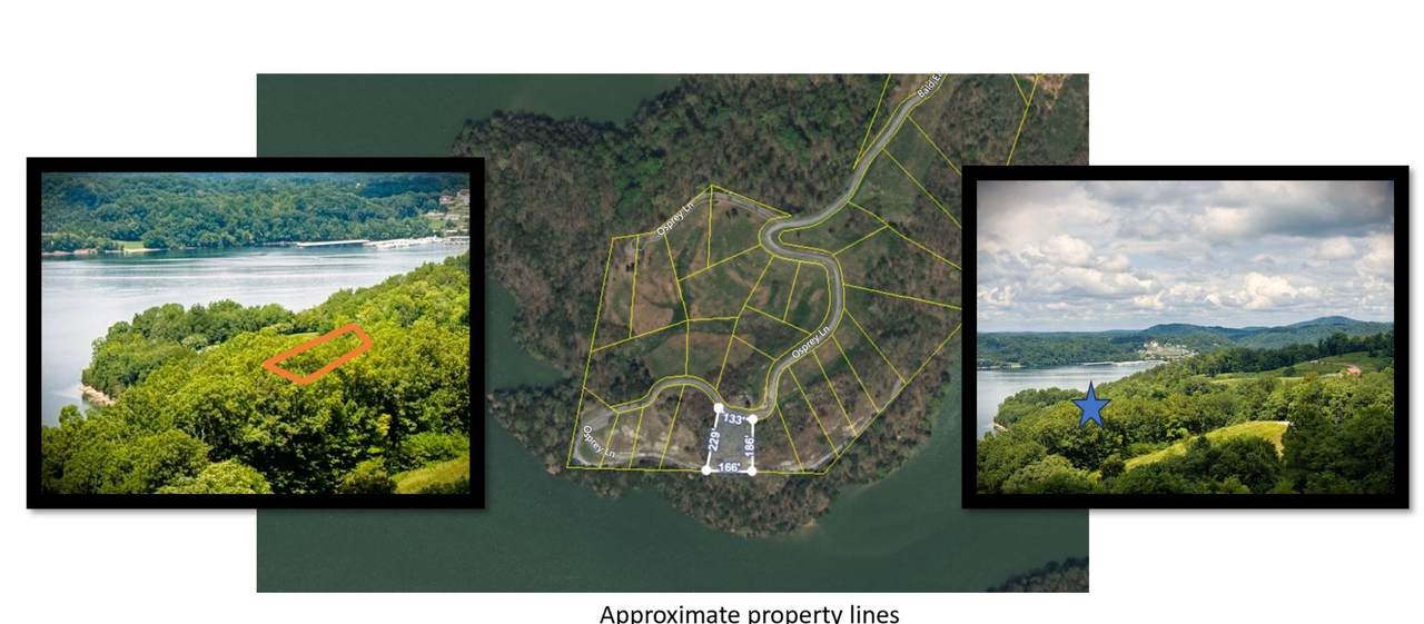 0 Bald Eagle Ln - Photo 1