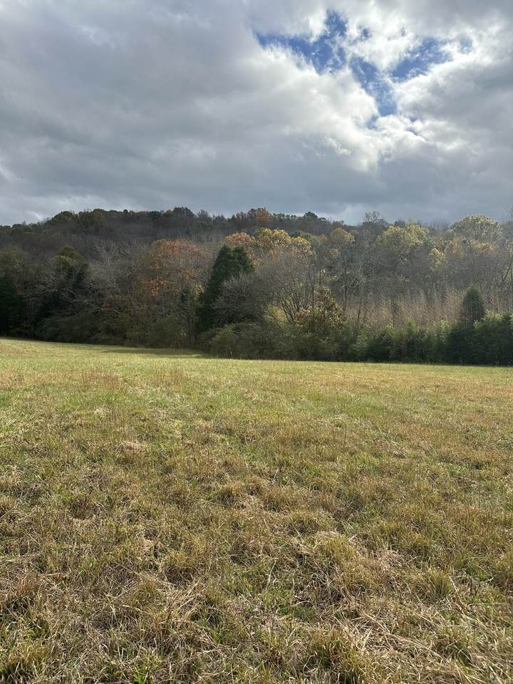 772 Rock Bridge Rd - Photo 1