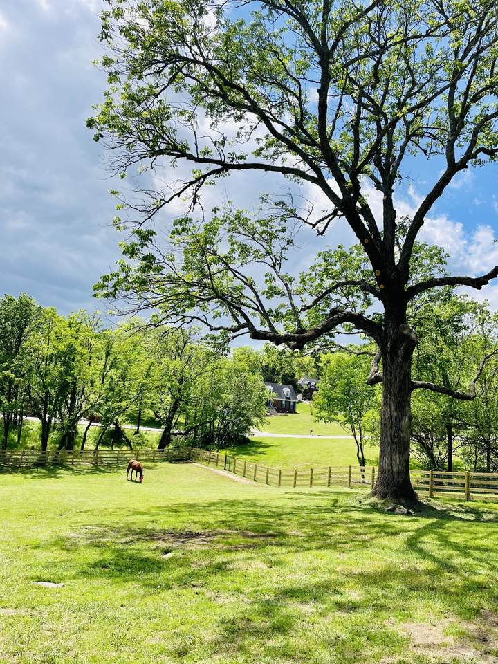 1019 Forestpointe - Photo 1