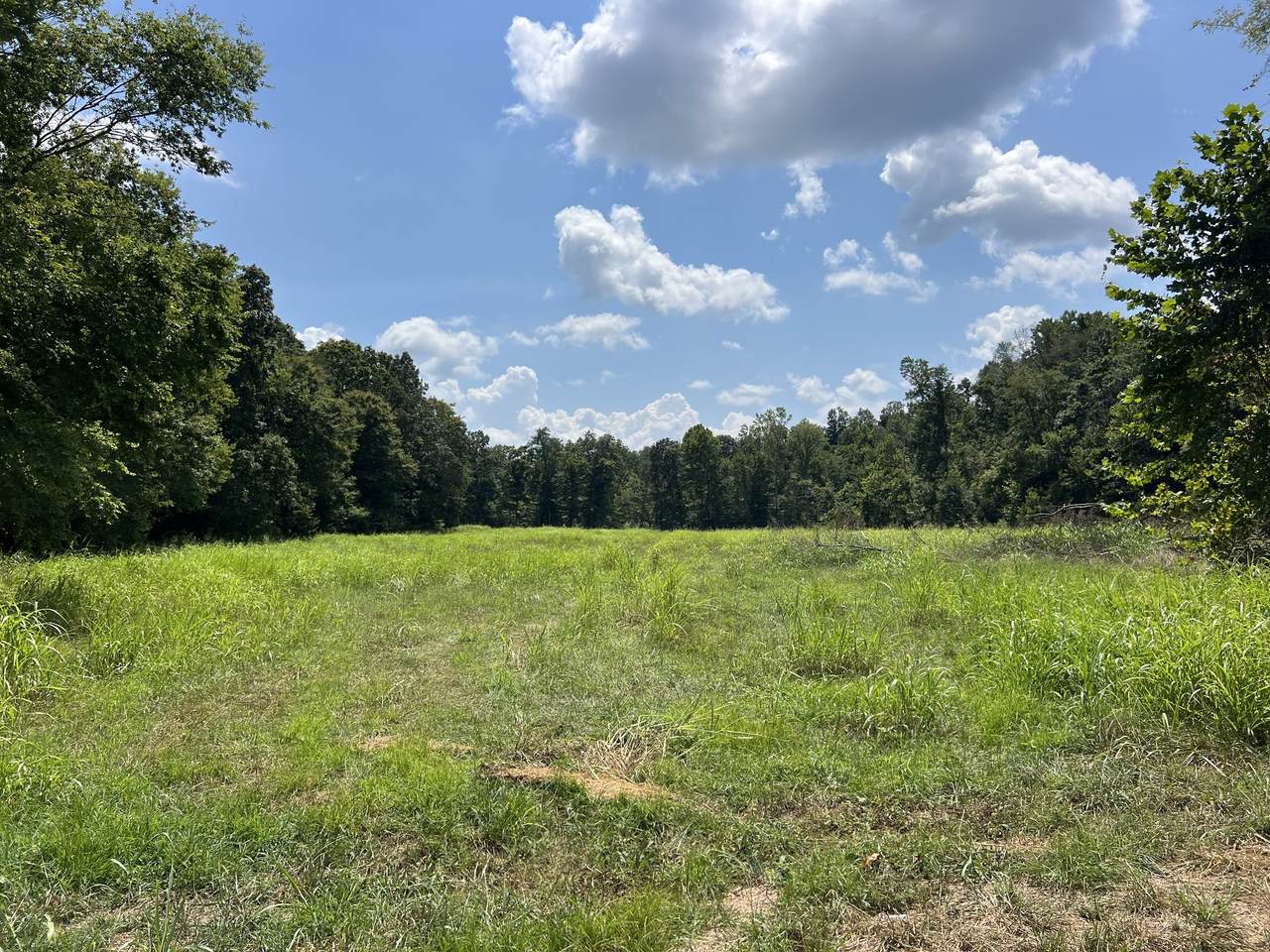 1 Sparkman Rd - Photo 1