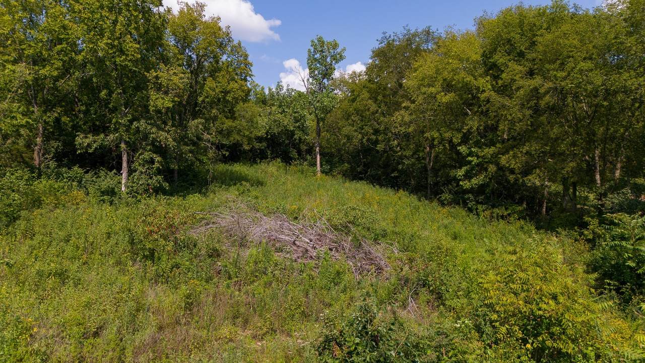 0 Monticello Drive - Photo 1