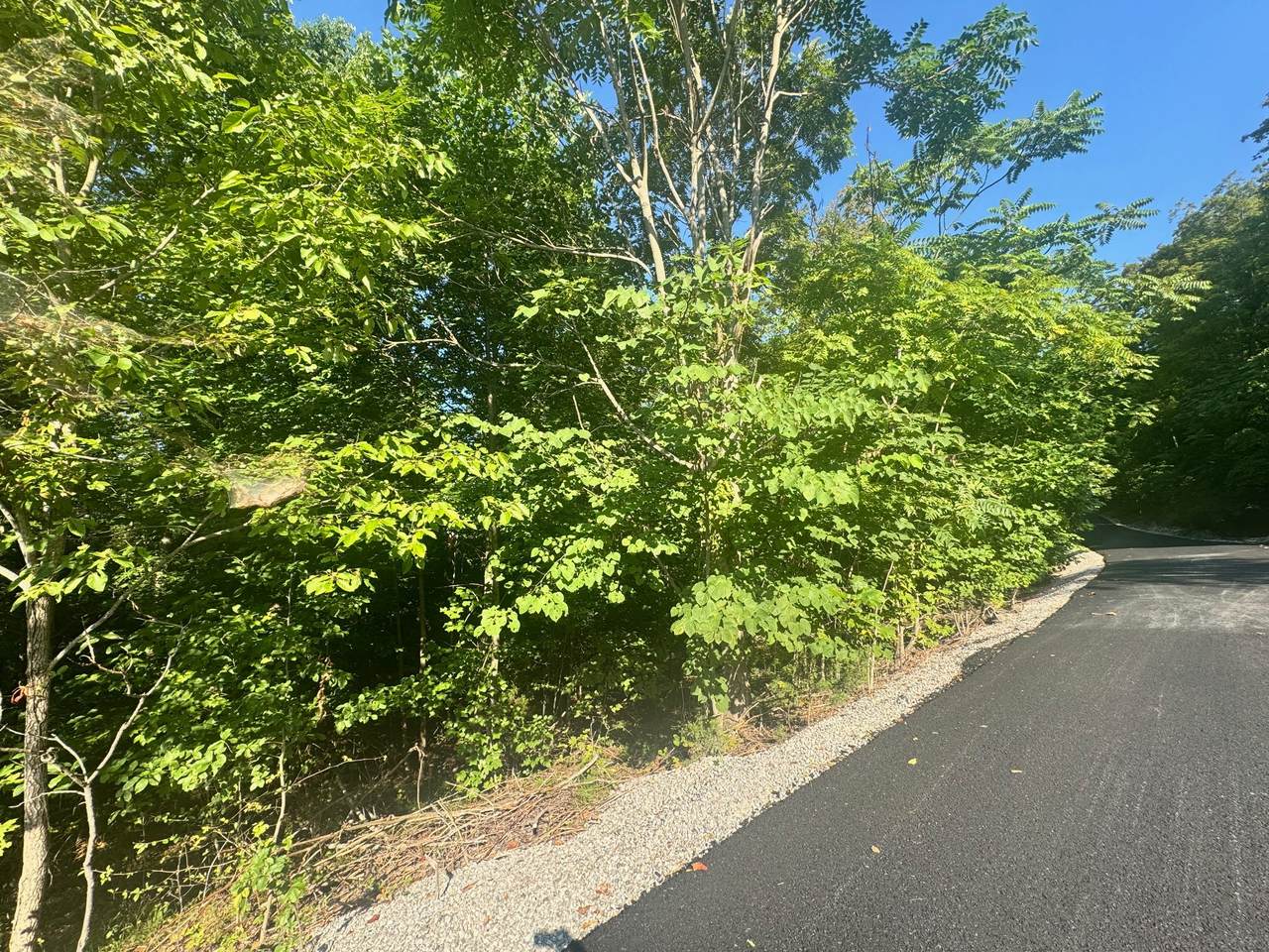 617 N Pointe Trl - Photo 1