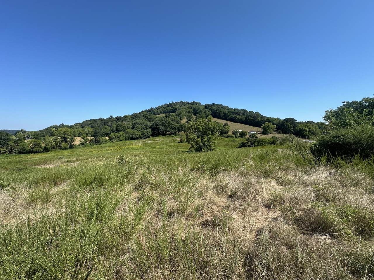 0 Mcclures Bend Ln - Photo 1