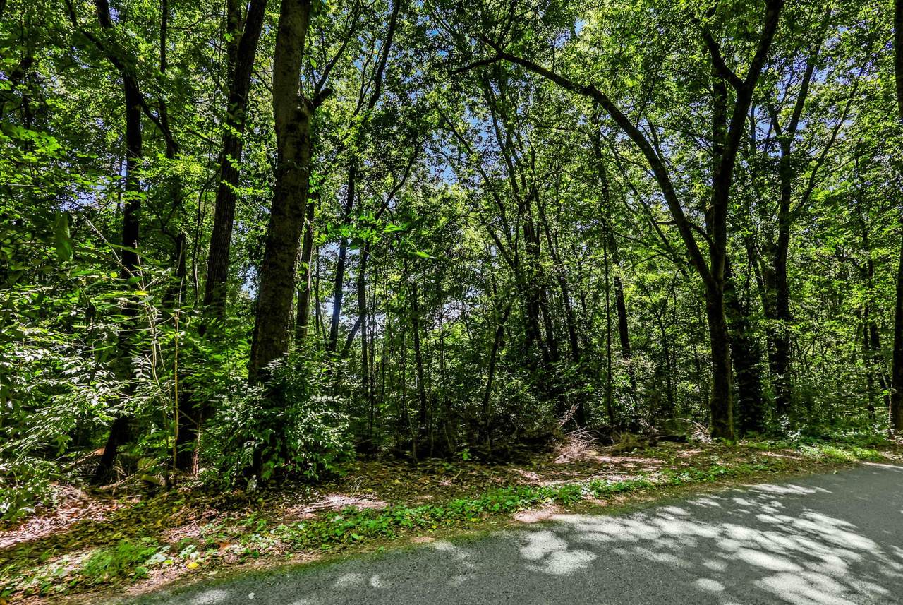 0 Old Tasso Place - Photo 1