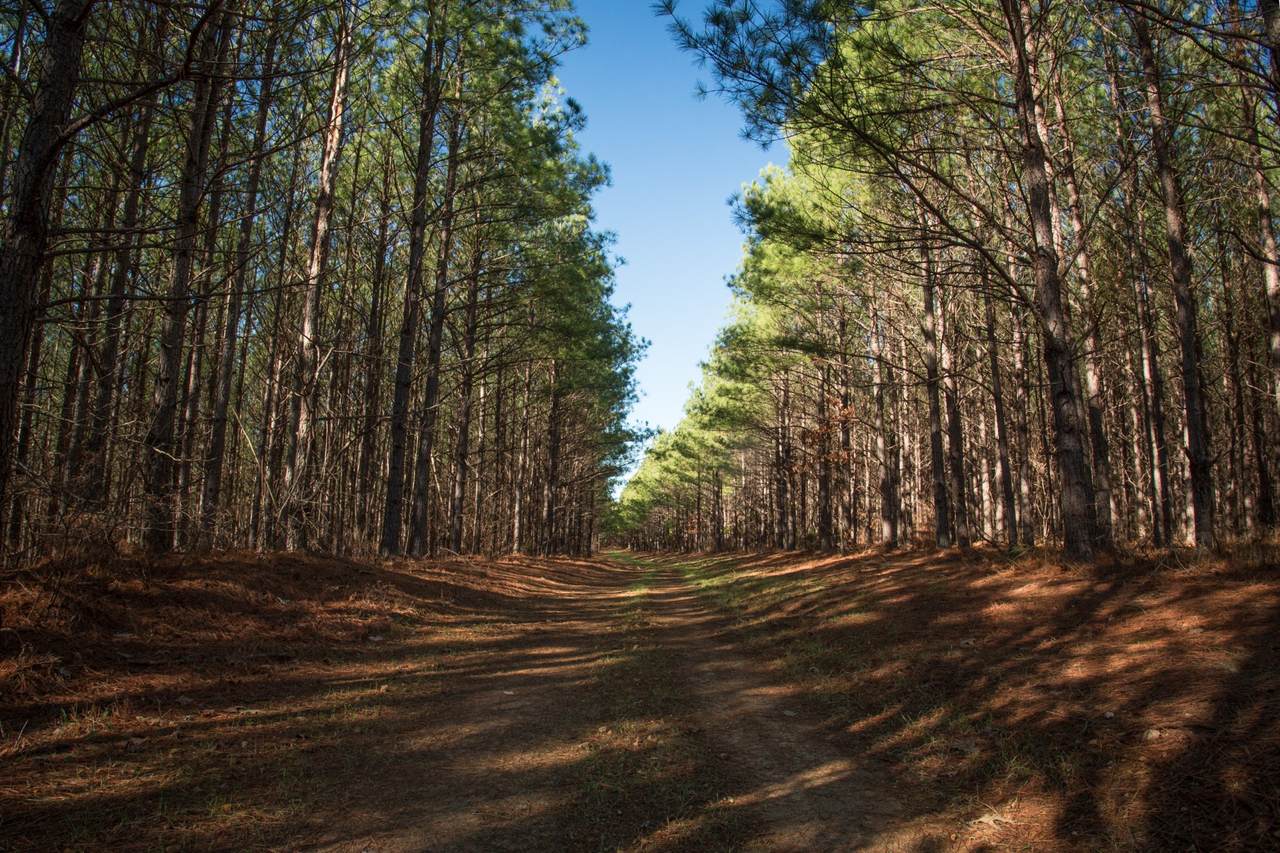 0 Mayfield Divide Rd - Photo 1