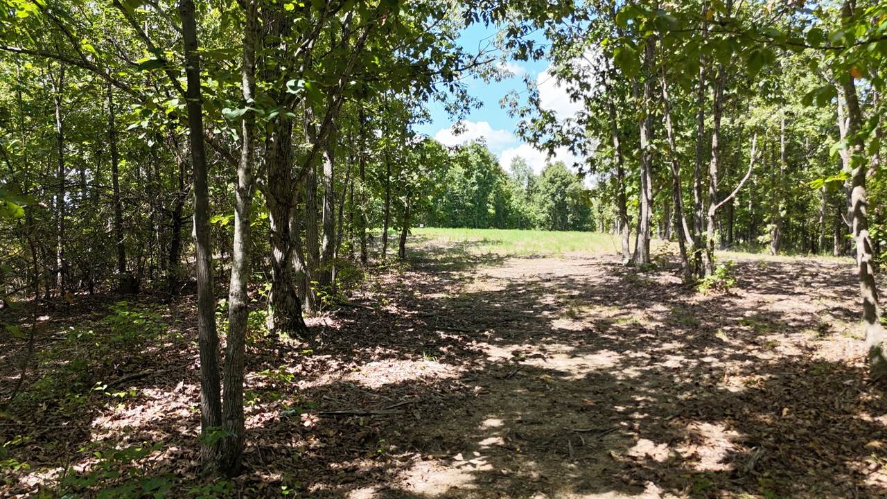 113 Chestnut Dr - Photo 1