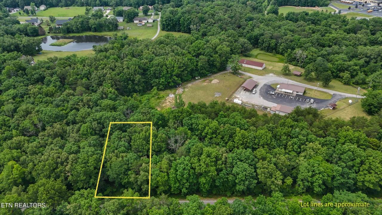 7030 Ute Lane - Photo 1