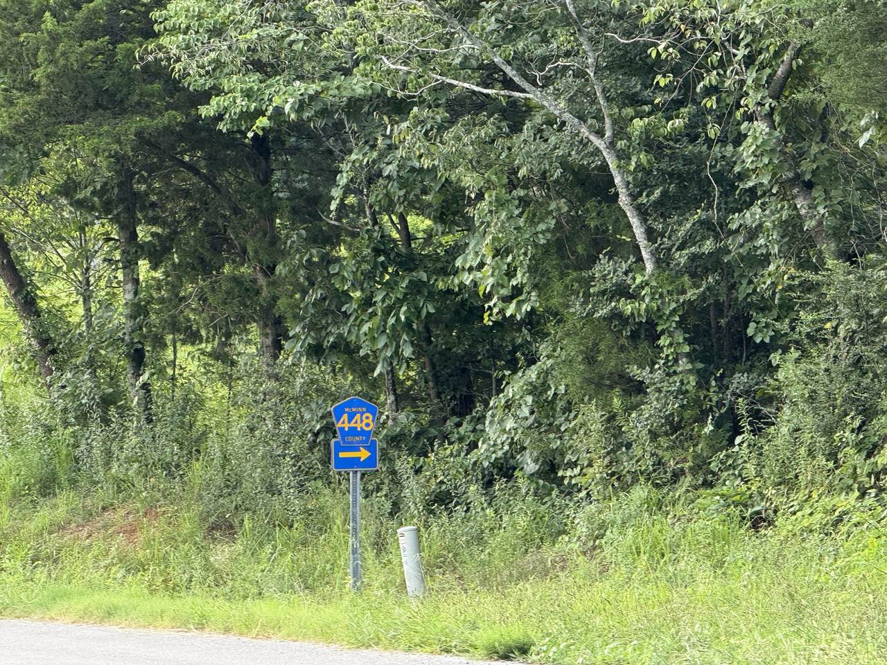 705 County Road 446 - Photo 1