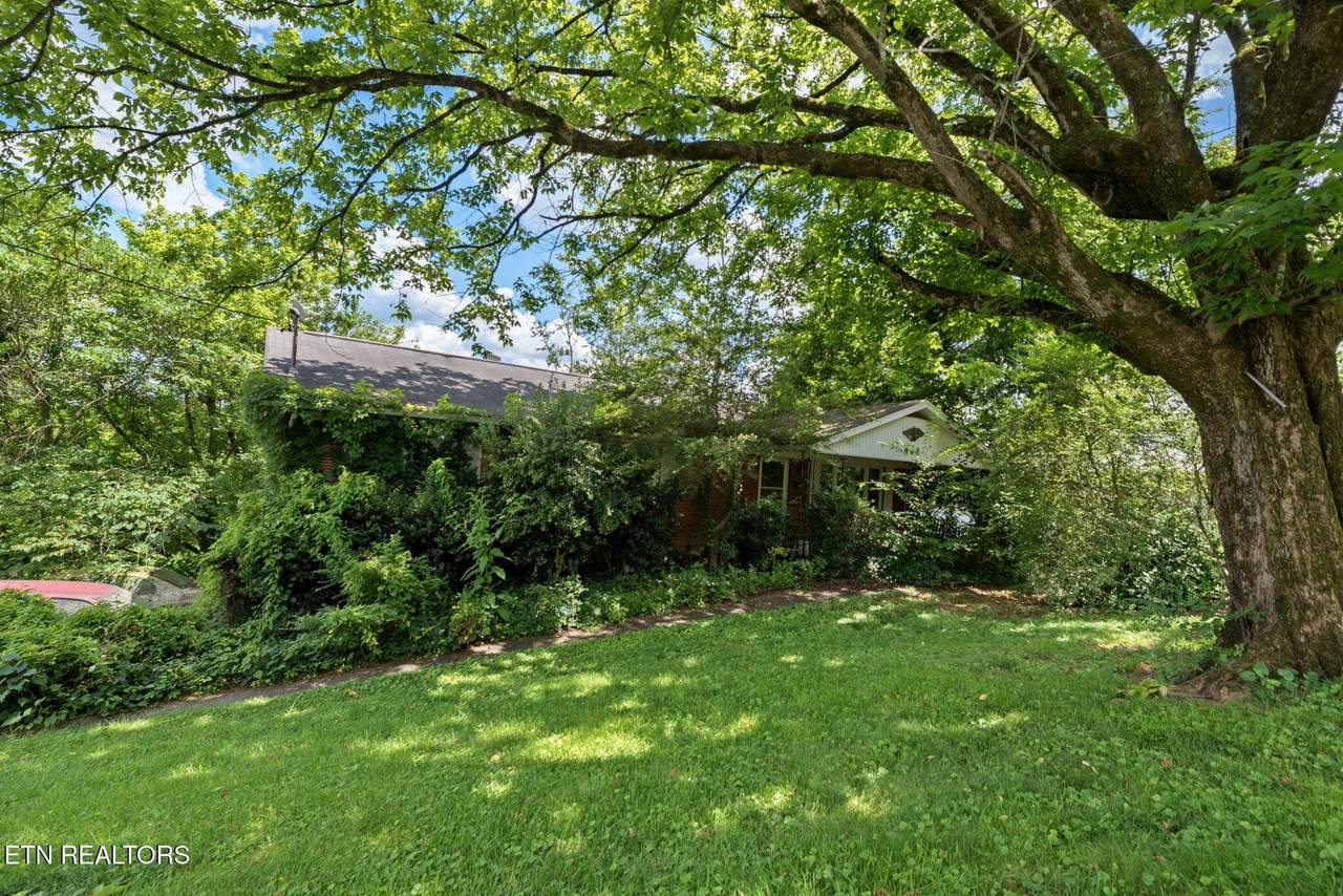 403 Hickory St - Photo 1