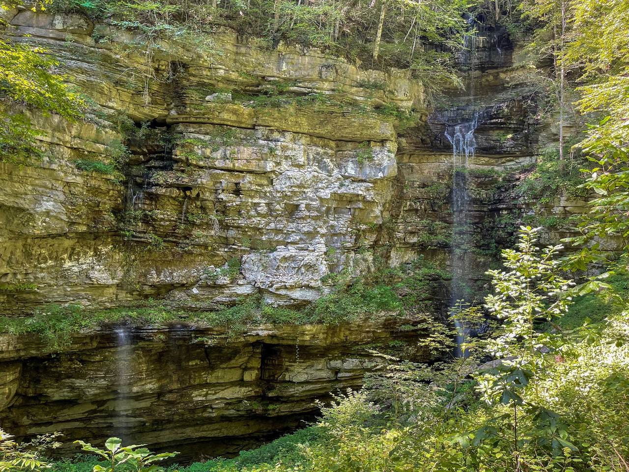 15341 Crossville Hwy - Photo 1