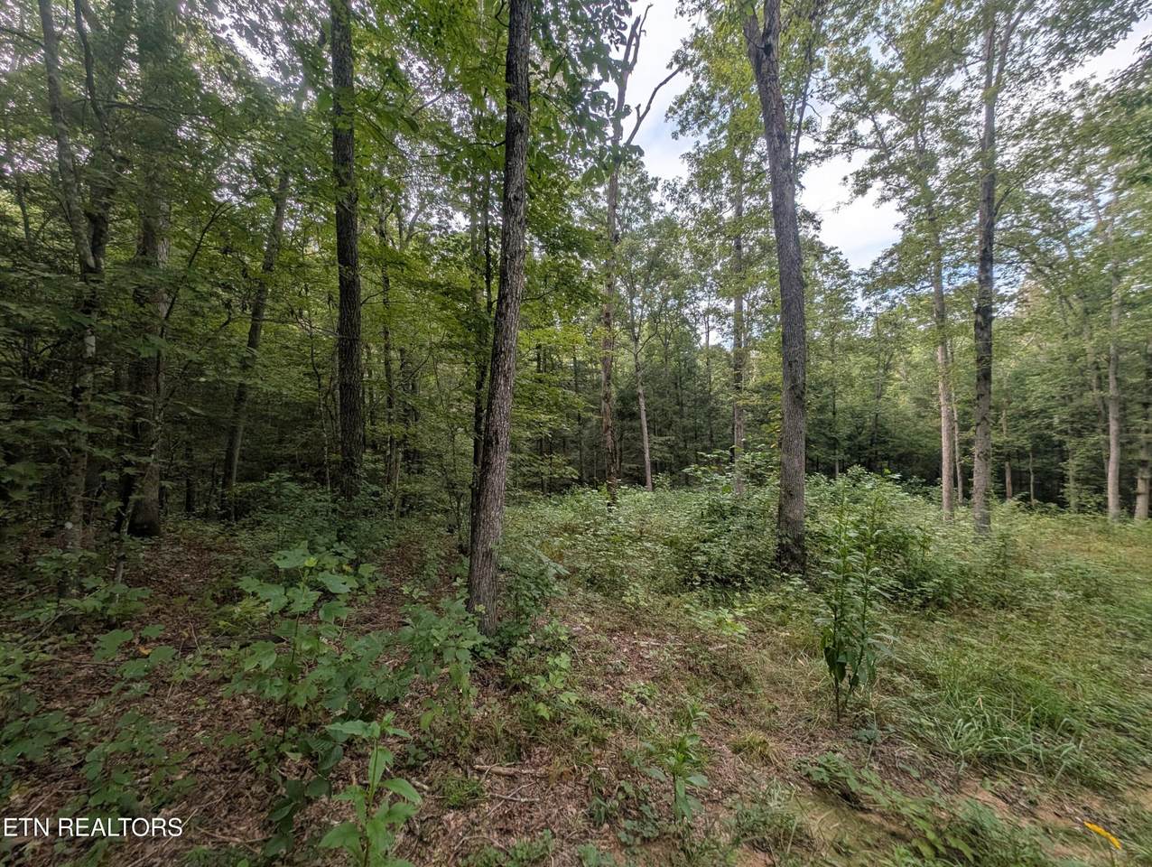 0 Hollow Creek Lane - Photo 1