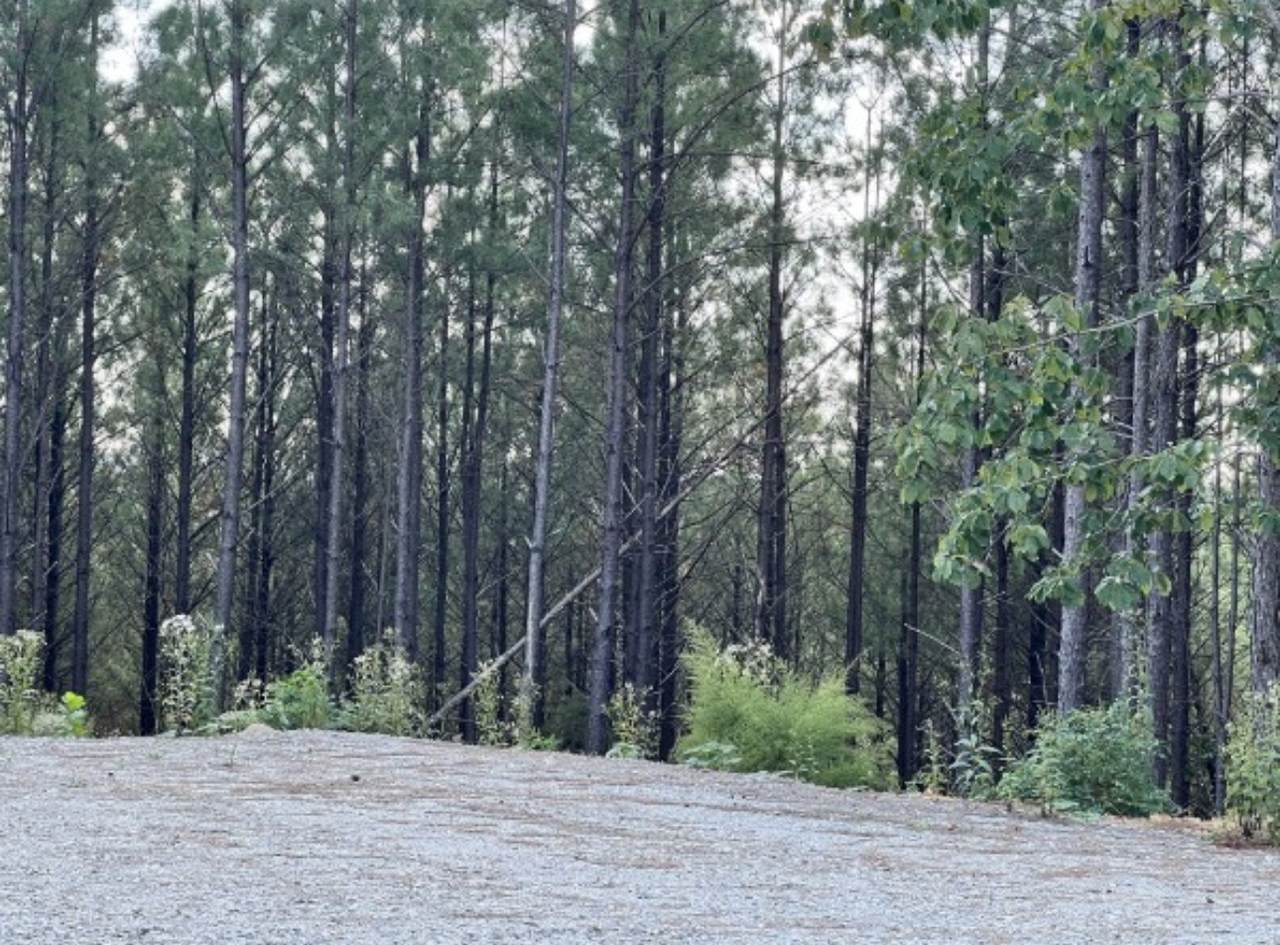 149 Highland Dr - Photo 1