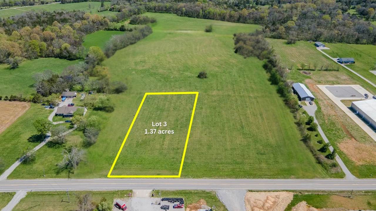 0 Nashville Hwy - Photo 1