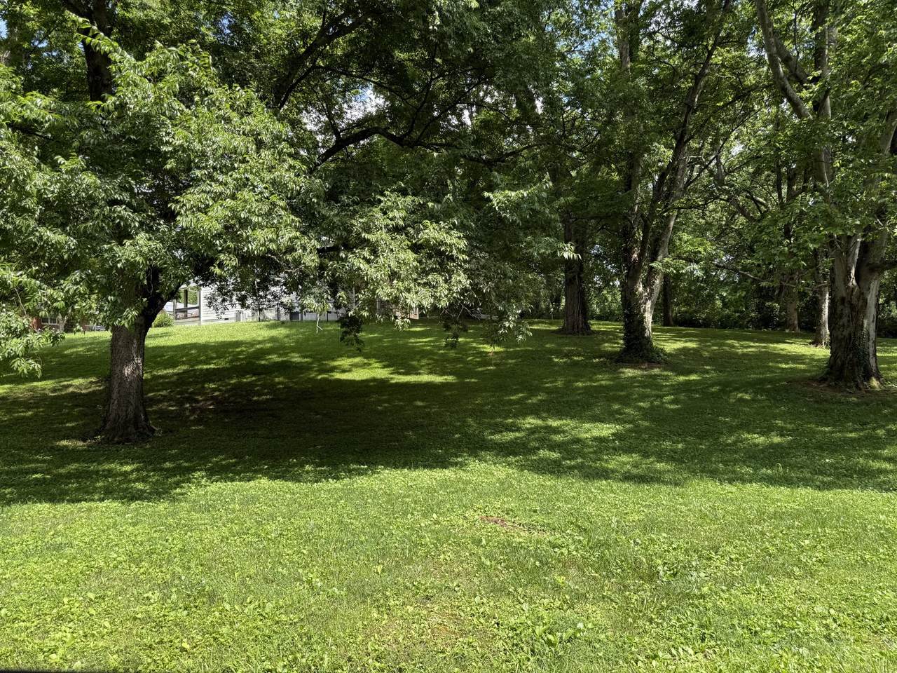 0 Poplar St - Photo 1