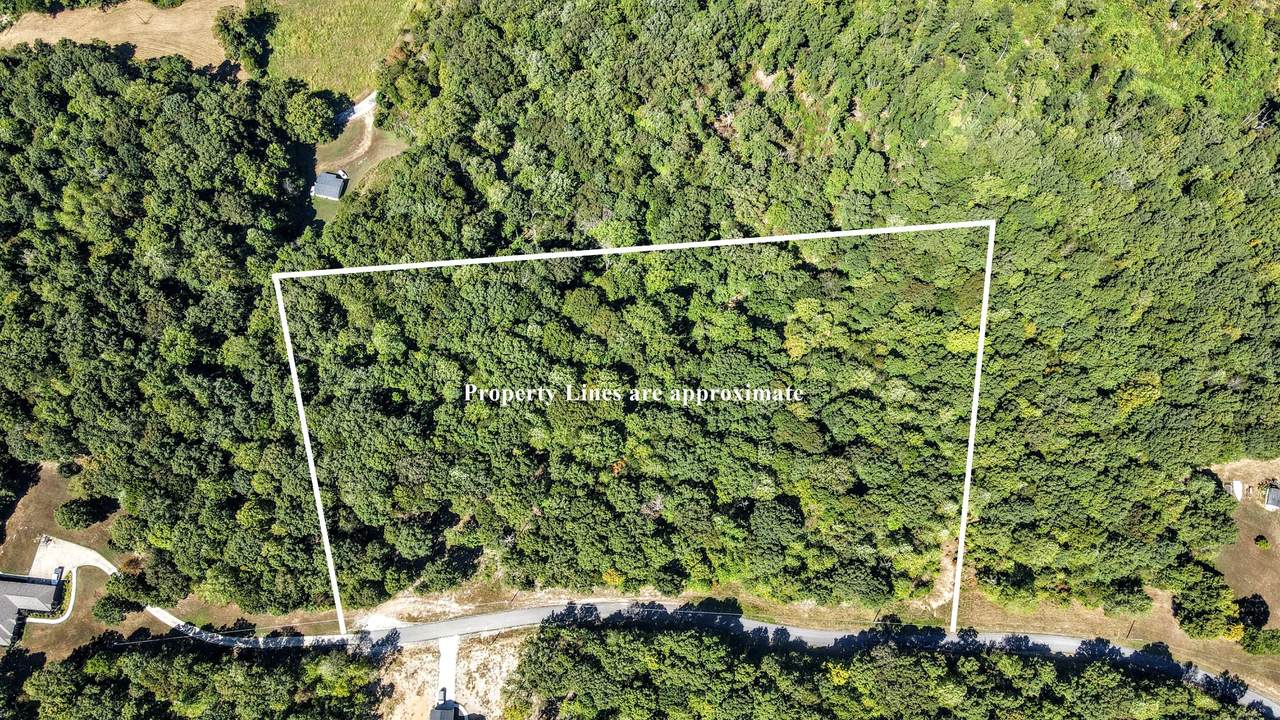 0 Mayne Trace Rd - Photo 1