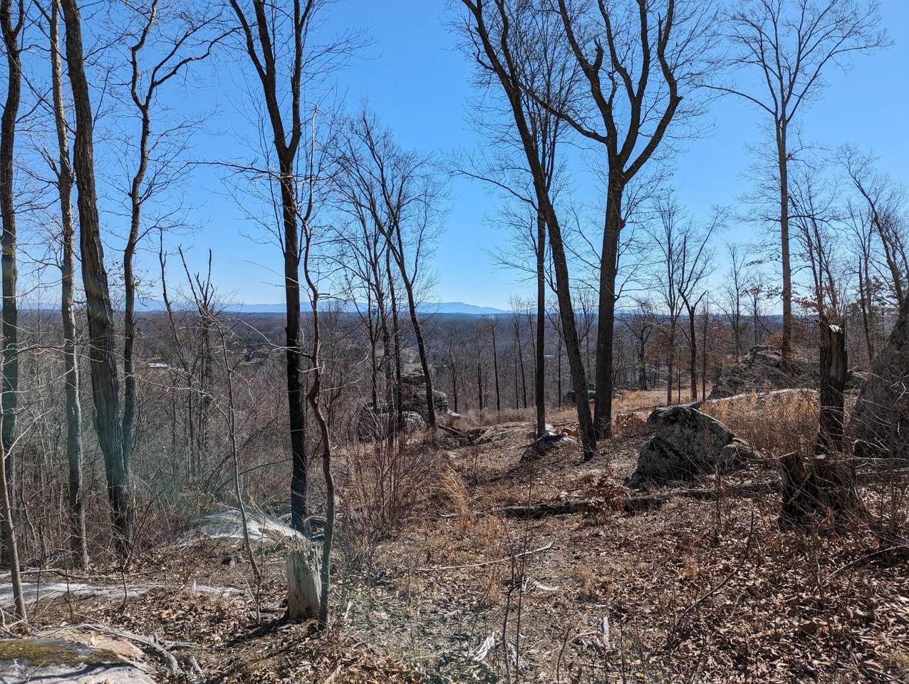 10688 Pine Hill Road - Photo 1