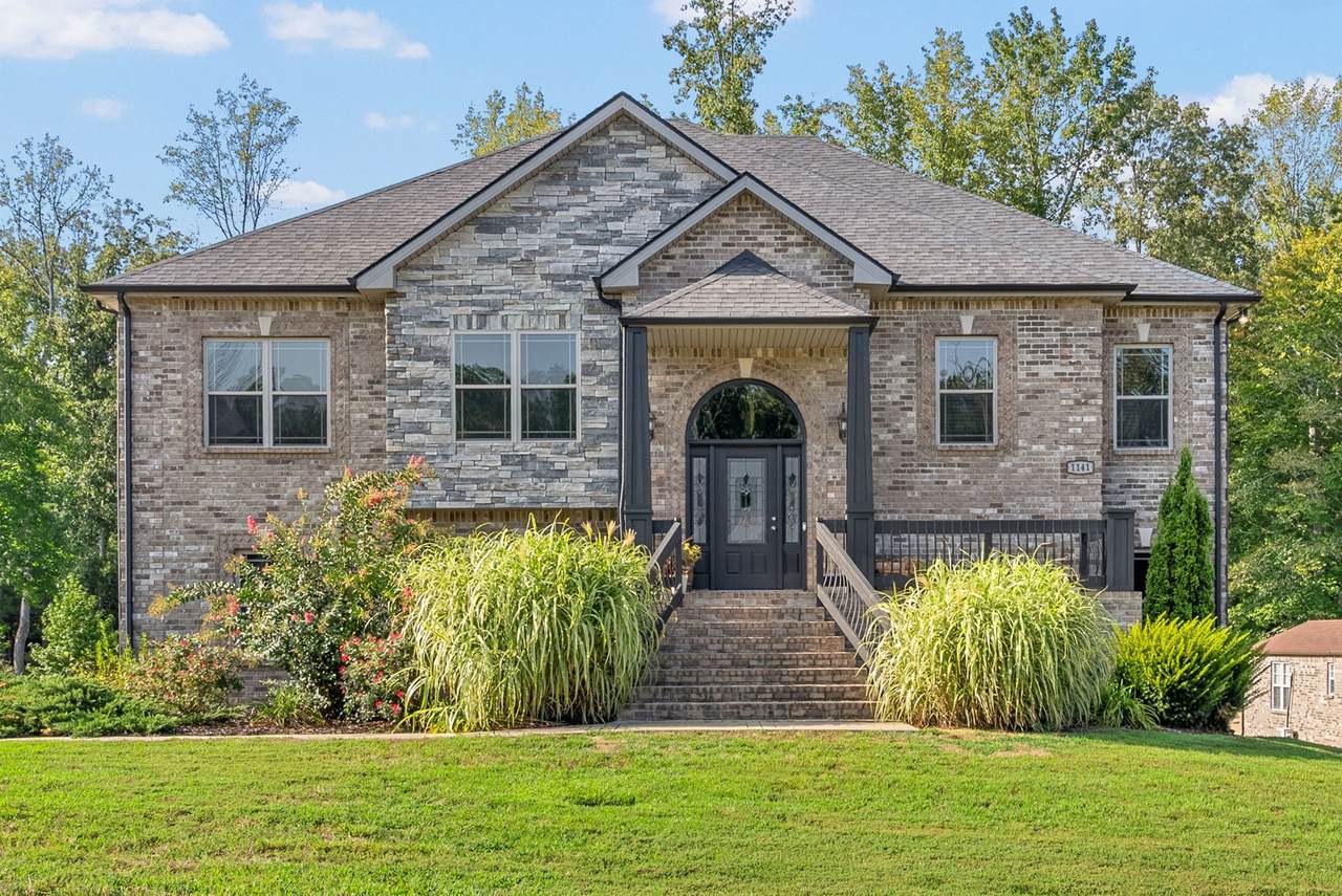 1141 Reda Dr - Photo 1