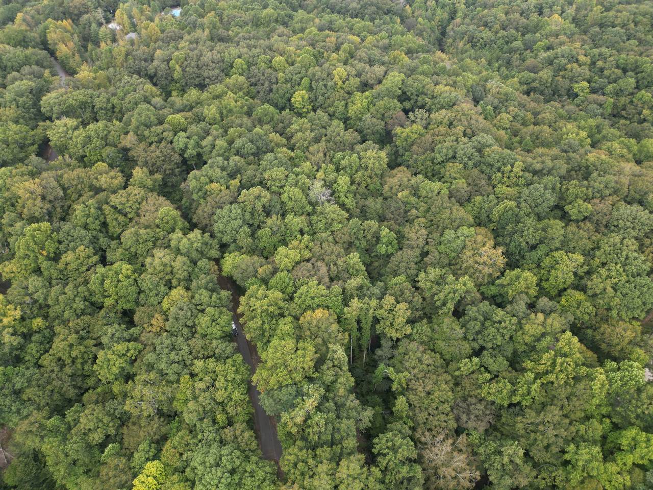 0 February Place - Photo 1